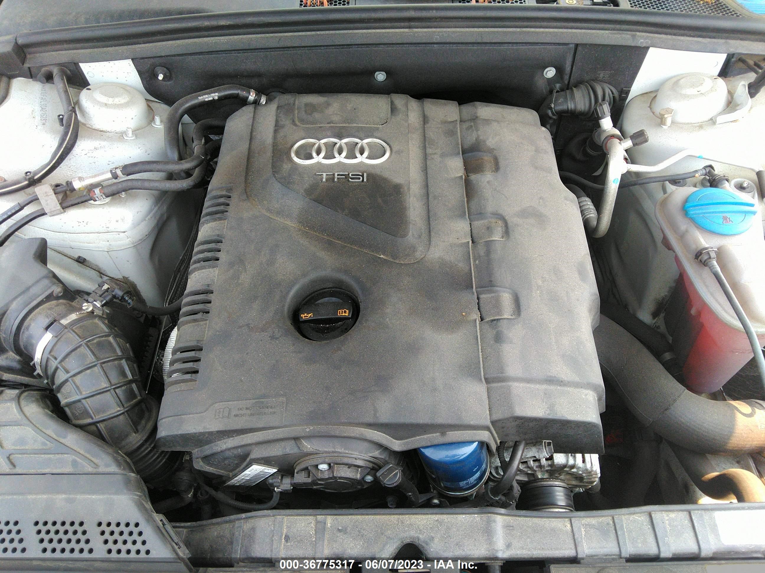 Photo 9 VIN: WA1UFAFL9DA215281 - AUDI ALLROAD 