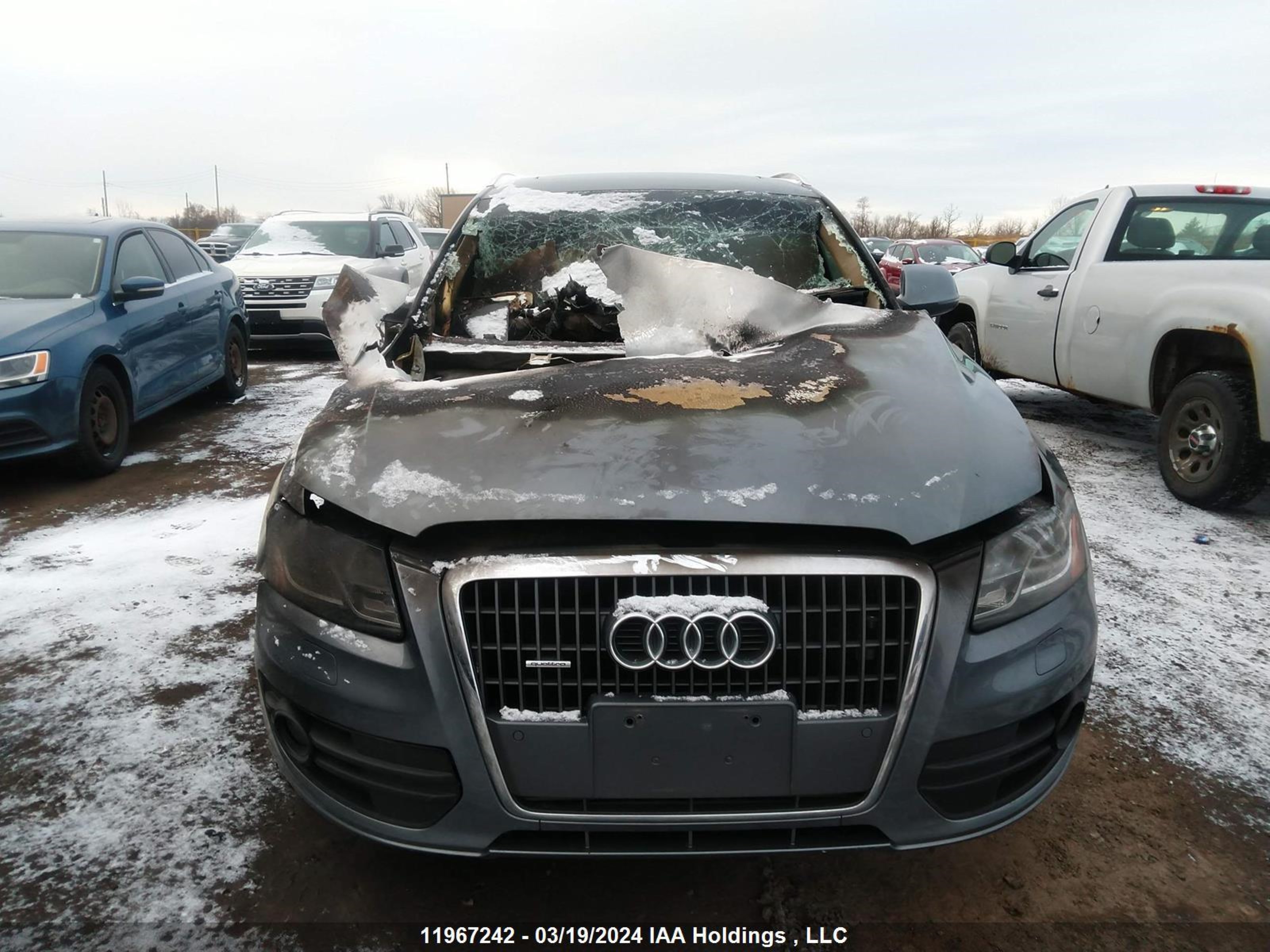 Photo 10 VIN: WA1VFCFP5CA023969 - AUDI Q5 