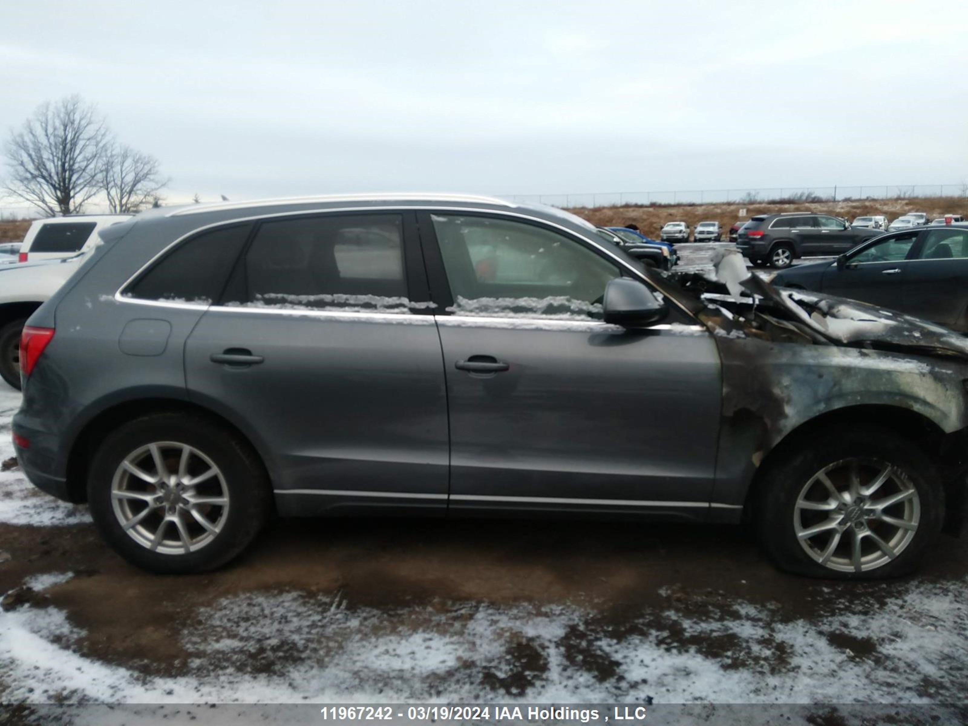 Photo 11 VIN: WA1VFCFP5CA023969 - AUDI Q5 