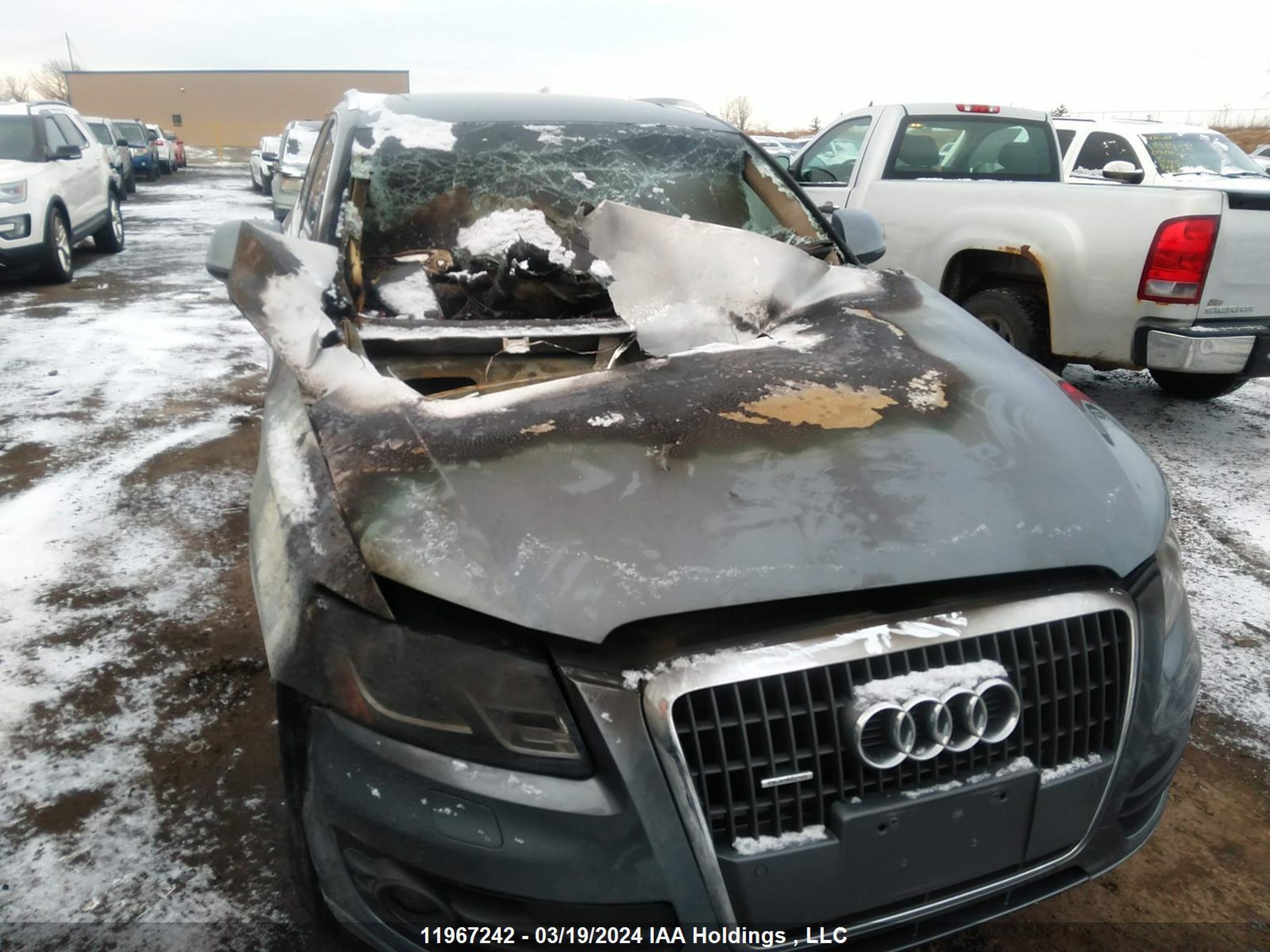 Photo 5 VIN: WA1VFCFP5CA023969 - AUDI Q5 