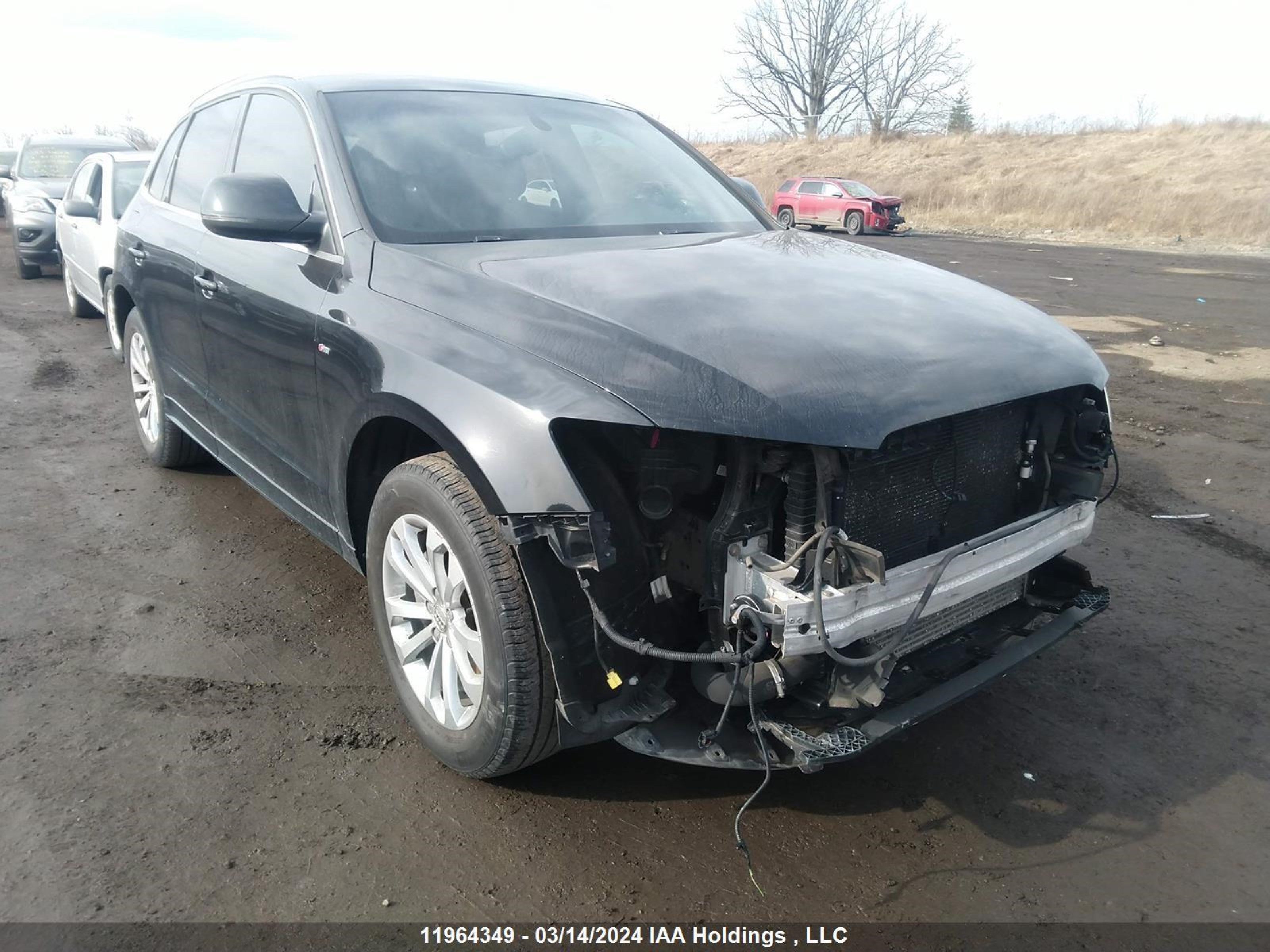 Photo 0 VIN: WA1WFCFP6EA008243 - AUDI Q5 