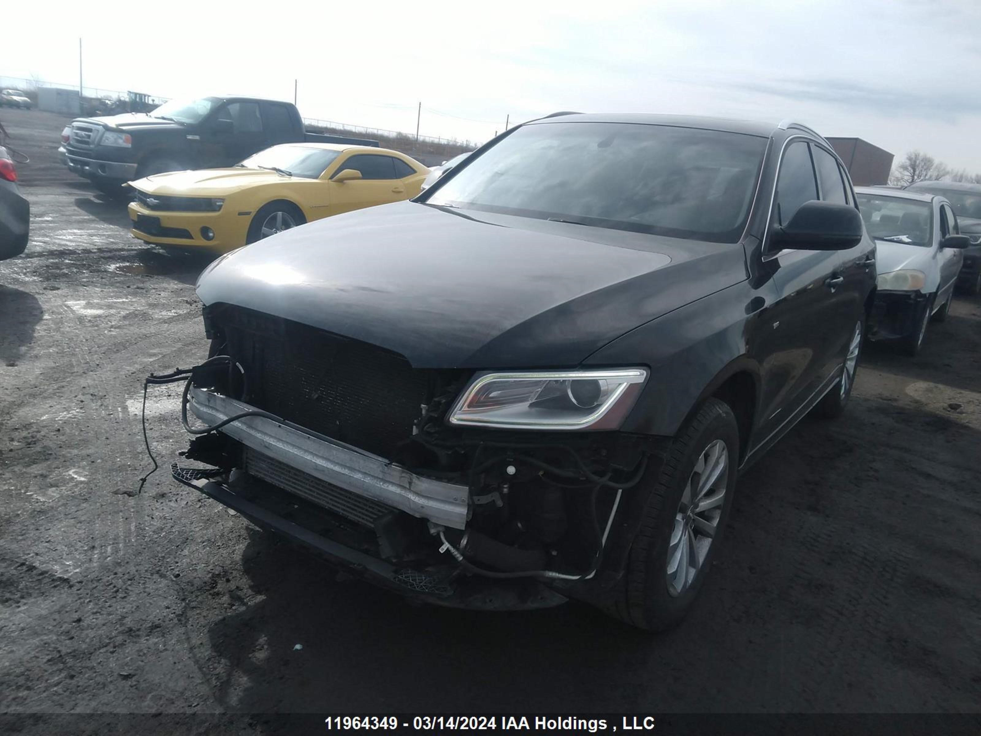 Photo 1 VIN: WA1WFCFP6EA008243 - AUDI Q5 