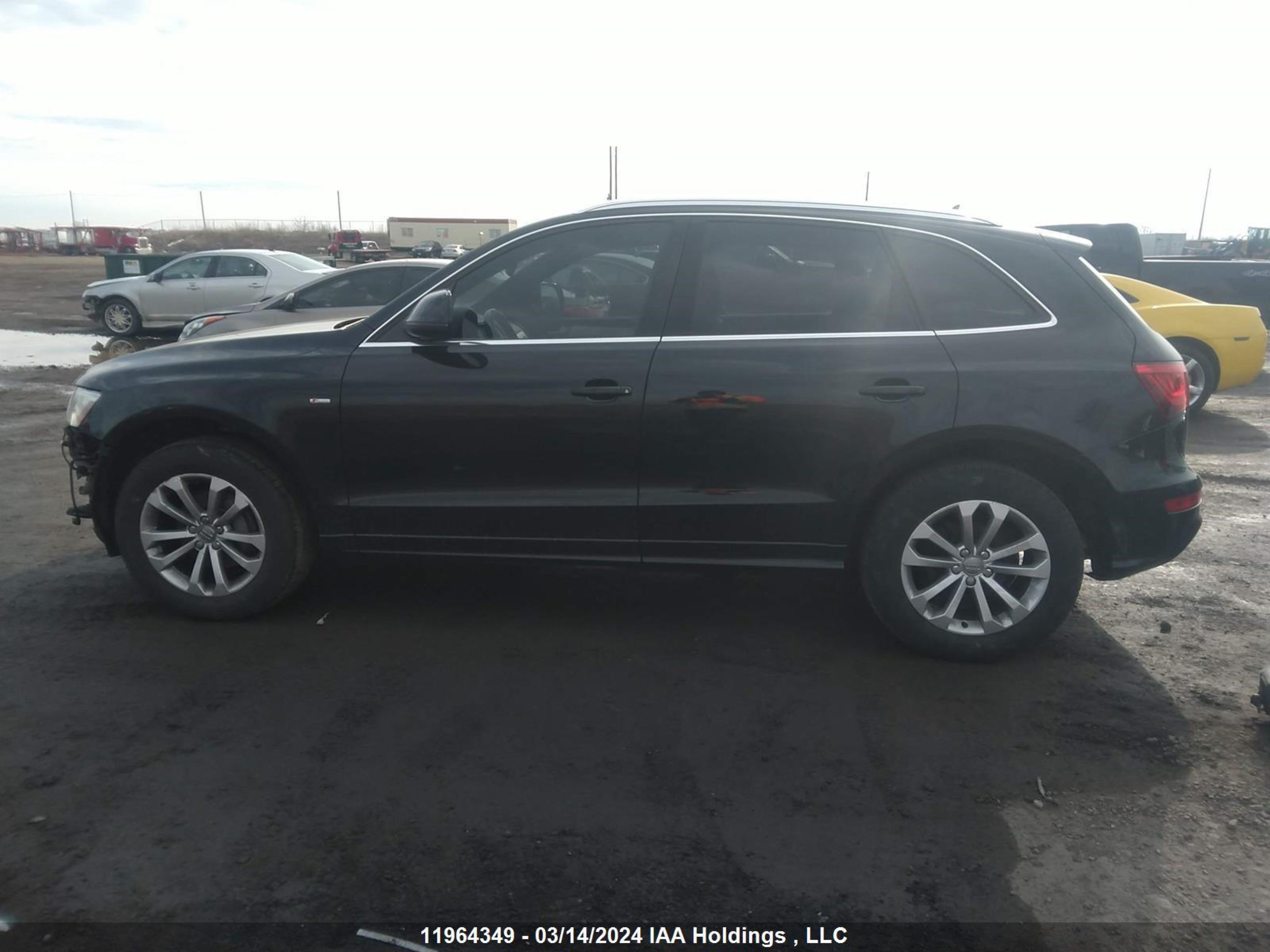 Photo 13 VIN: WA1WFCFP6EA008243 - AUDI Q5 