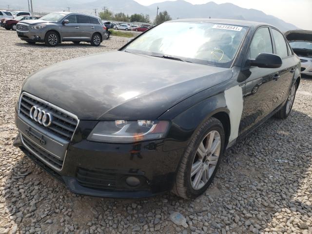 Photo 1 VIN: WAUAFAFL0BN032458 - AUDI A4 