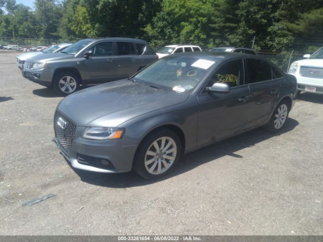 Photo 1 VIN: WAUAFAFL0CA117129 - AUDI A4 