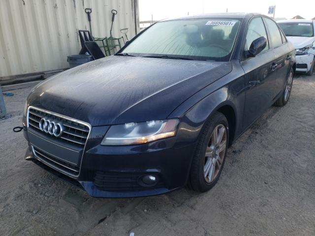 Photo 1 VIN: WAUAFAFL1BN018228 - AUDI A4 