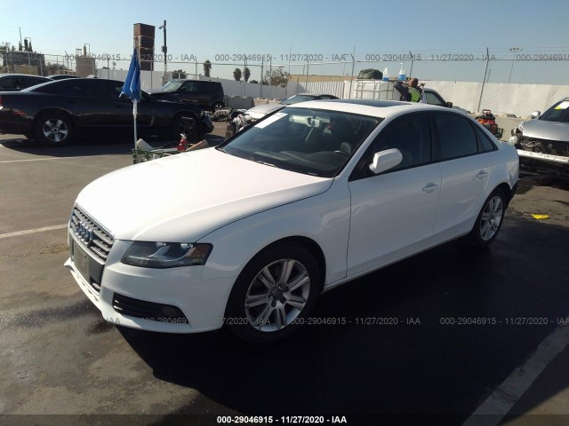 Photo 1 VIN: WAUAFAFL1BN026927 - AUDI A4 