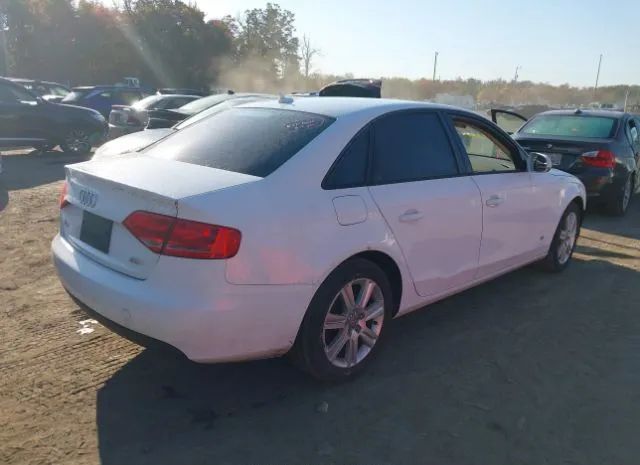 Photo 3 VIN: WAUAFAFL1BN034462 - AUDI A4 