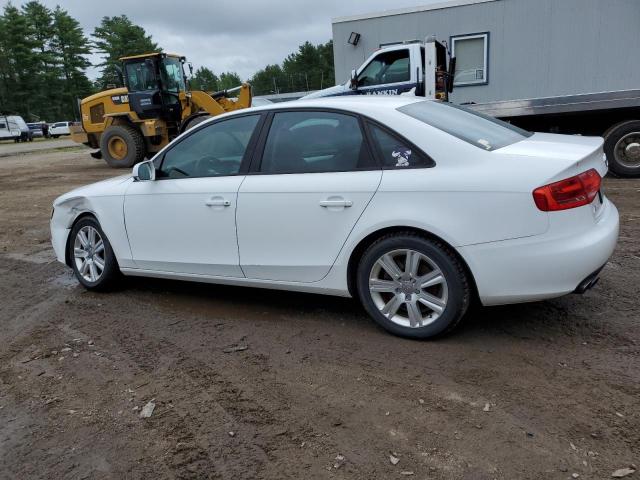 Photo 1 VIN: WAUAFAFL1BN040309 - AUDI A4 PREMIUM 