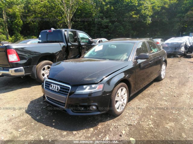 Photo 1 VIN: WAUAFAFL1BN046983 - AUDI A4 