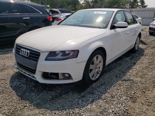 Photo 1 VIN: WAUAFAFL1BN047003 - AUDI A4 