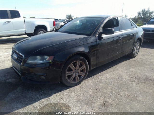 Photo 1 VIN: WAUAFAFL2AN020956 - AUDI A4 