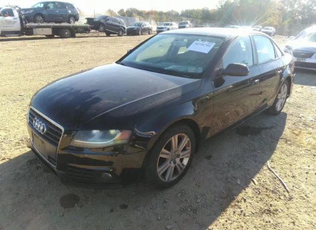 Photo 1 VIN: WAUAFAFL2BN020425 - AUDI A4 