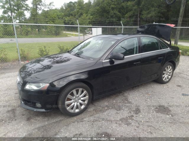 Photo 1 VIN: WAUAFAFL2CN013346 - AUDI A4 