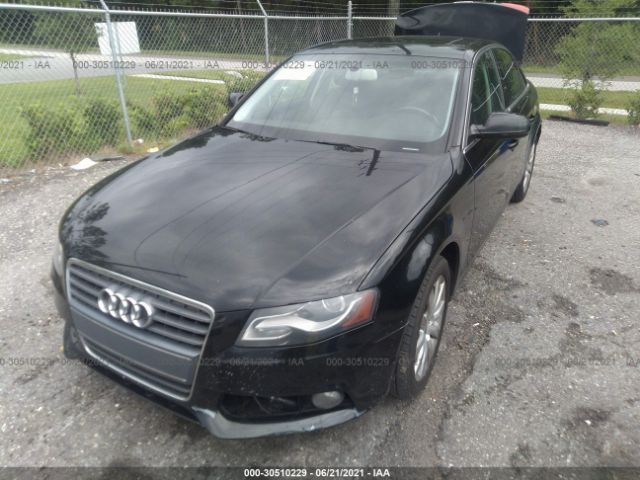 Photo 5 VIN: WAUAFAFL2CN013346 - AUDI A4 