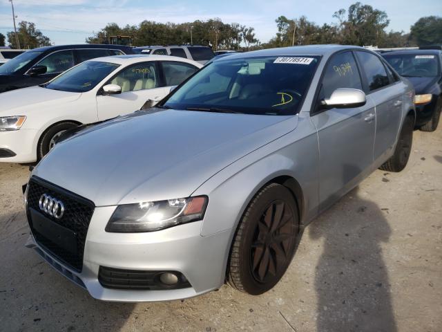 Photo 1 VIN: WAUAFAFL3AN065680 - AUDI A4 PREMIUM 