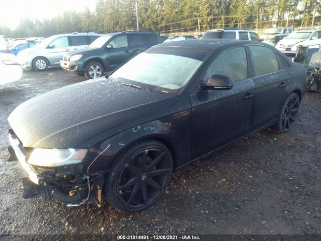 Photo 1 VIN: WAUAFAFL3CN000430 - AUDI A4 