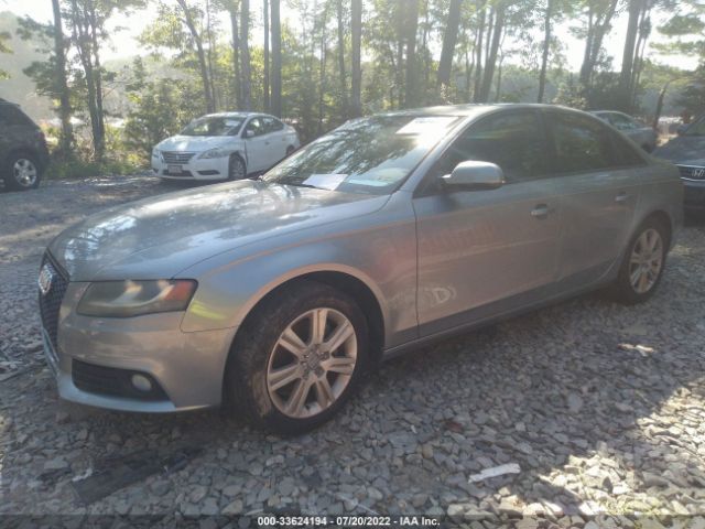 Photo 1 VIN: WAUAFAFL5AN024970 - AUDI A4 