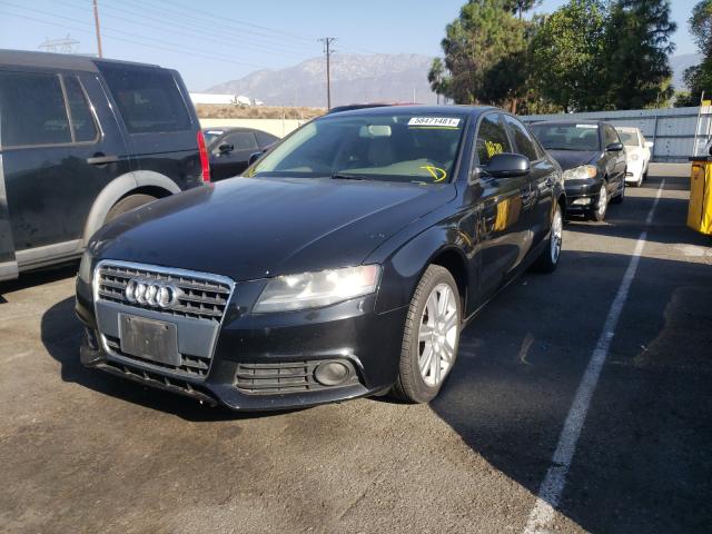 Photo 1 VIN: WAUAFAFL5AN030171 - AUDI A4 PREMIUM 