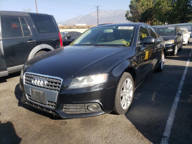 Photo 8 VIN: WAUAFAFL5AN030171 - AUDI A4 PREMIUM 