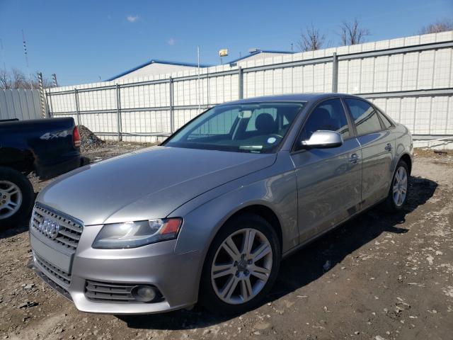 Photo 1 VIN: WAUAFAFL5AN037833 - AUDI A4 