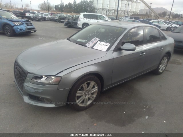 Photo 1 VIN: WAUAFAFL5BN002470 - AUDI A4 