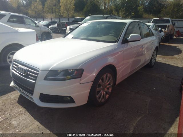 Photo 1 VIN: WAUAFAFL5CA120172 - AUDI A4 