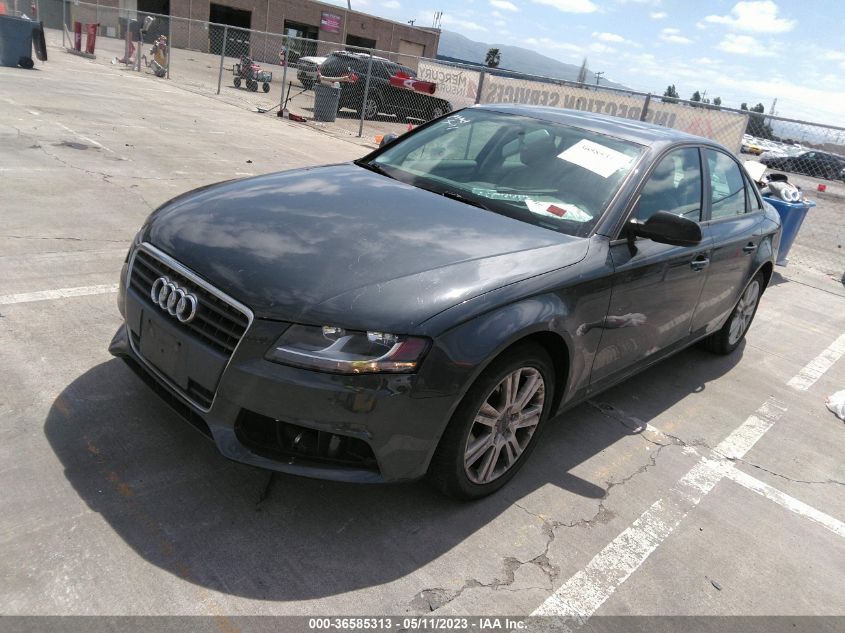 Photo 1 VIN: WAUAFAFL6AN027781 - AUDI A4 