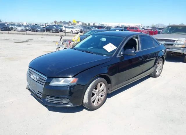 Photo 1 VIN: WAUAFAFL7AN031760 - AUDI A4 