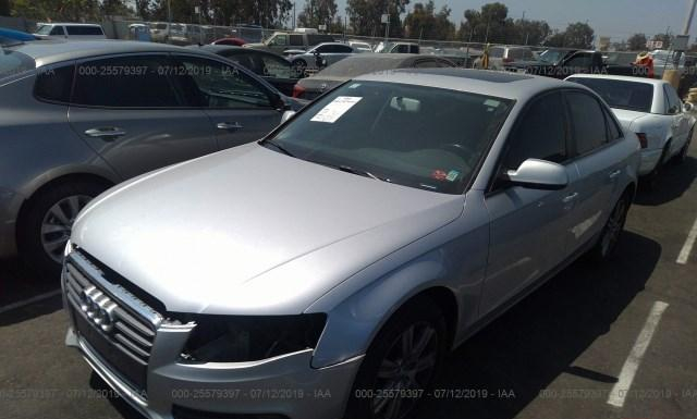 Photo 1 VIN: WAUAFAFL7AN040426 - AUDI A4 