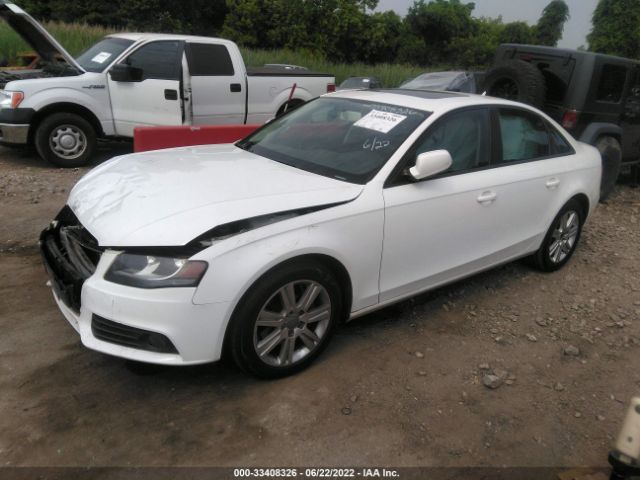 Photo 1 VIN: WAUAFAFL7BN037253 - AUDI A4 