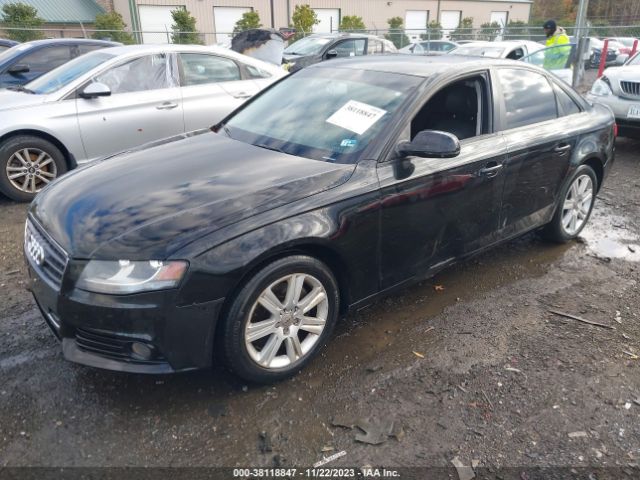 Photo 1 VIN: WAUAFAFL7BN055560 - AUDI A4 