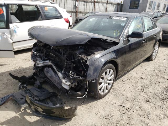 Photo 1 VIN: WAUAFAFL7DA158844 - AUDI A4 