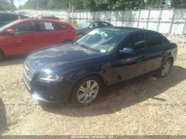 Photo 1 VIN: WAUAFAFL8AN031587 - AUDI A4 