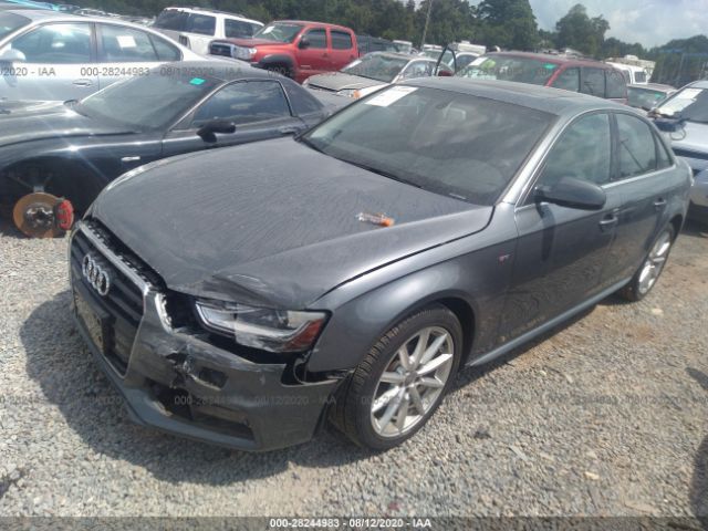 Photo 1 VIN: WAUAFAFL8FN032990 - AUDI A4 