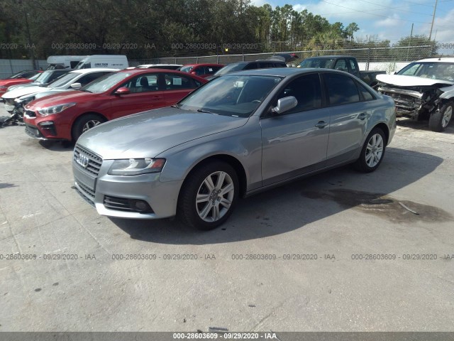 Photo 1 VIN: WAUAFAFL9AN026219 - AUDI A4 