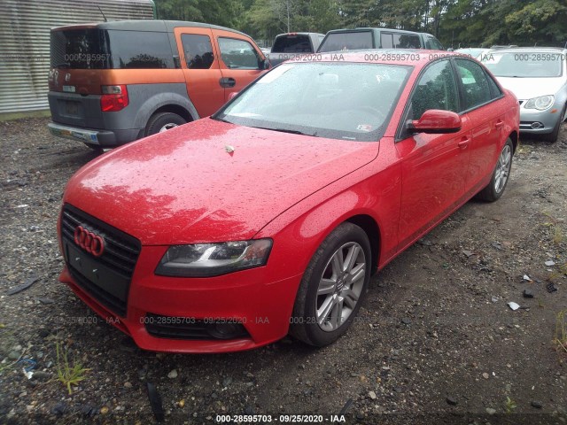 Photo 1 VIN: WAUAFAFL9AN033221 - AUDI A4 