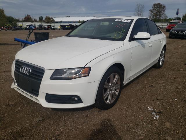 Photo 1 VIN: WAUAFAFL9BN031440 - AUDI A4 PREMIUM 