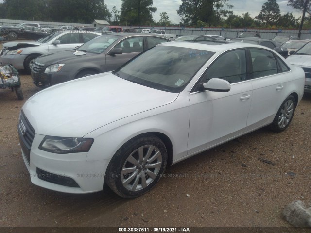 Photo 1 VIN: WAUAFAFL9CA118053 - AUDI A4 