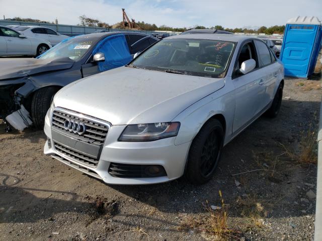 Photo 1 VIN: WAUAFAFLXAN008831 - AUDI A4 