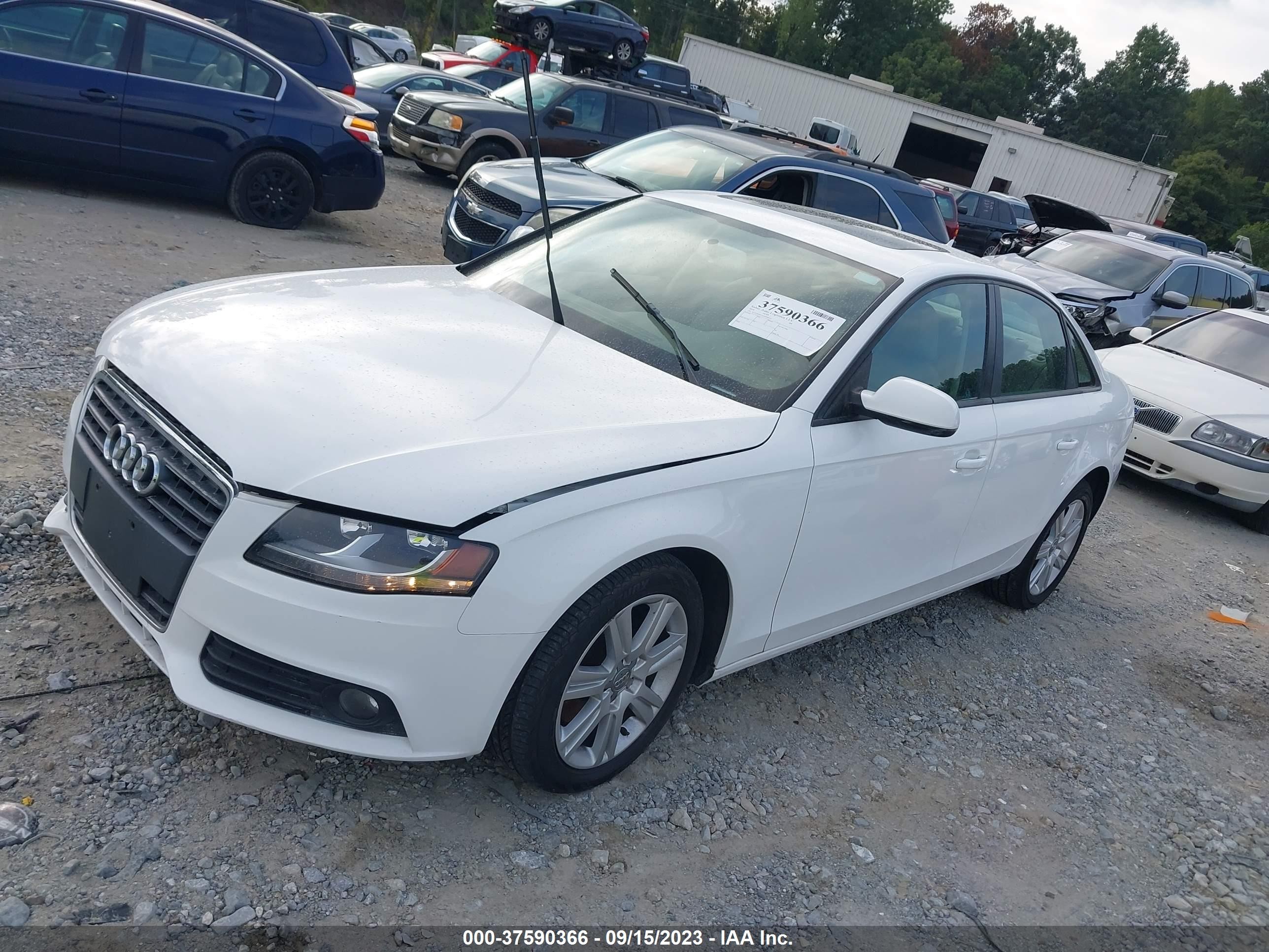 Photo 1 VIN: WAUAFAFLXAN036533 - AUDI A4 