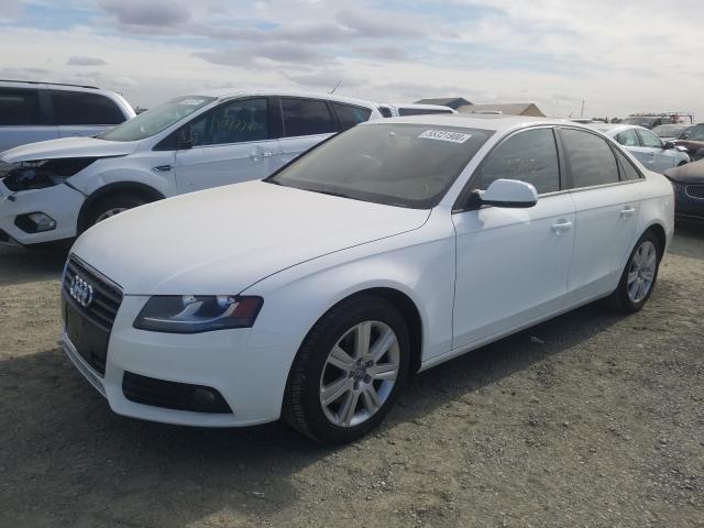 Photo 1 VIN: WAUAFAFLXBN042088 - AUDI A4 PREMIUM 