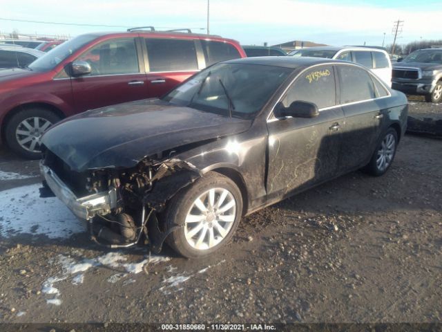 Photo 1 VIN: WAUAFAFLXDN049903 - AUDI A4 