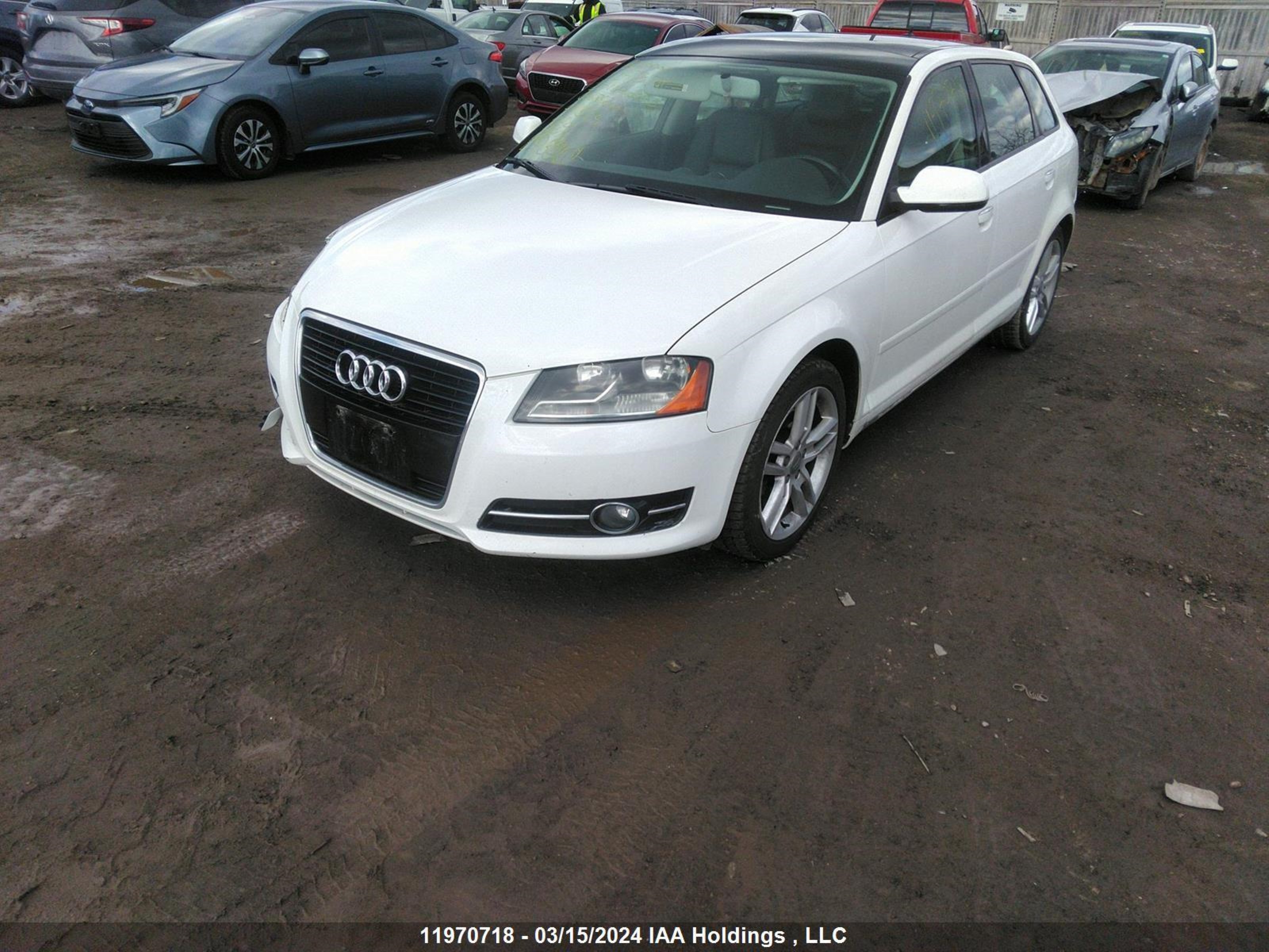 Photo 1 VIN: WAUAFCFM4BA066852 - AUDI A3 