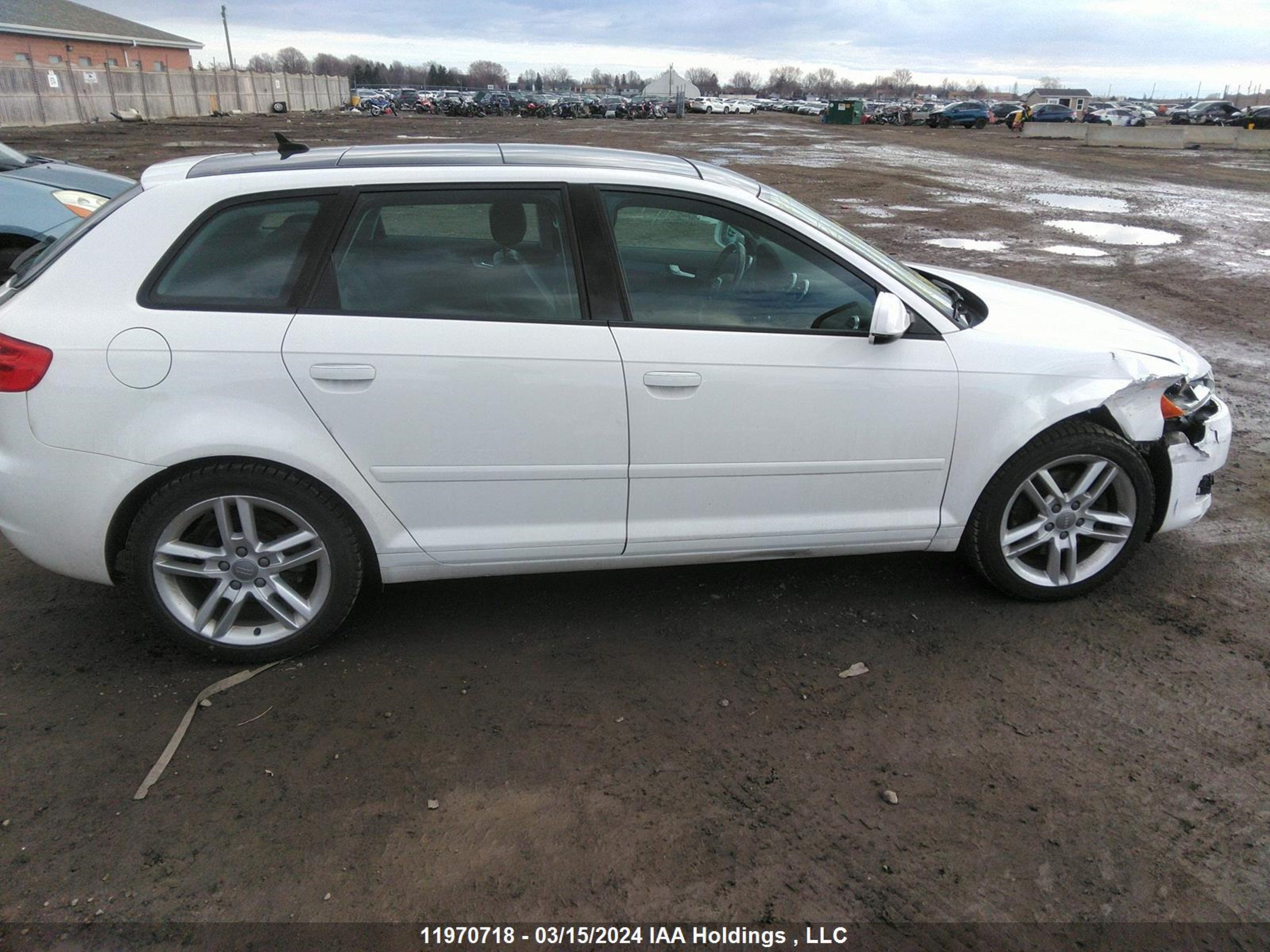 Photo 12 VIN: WAUAFCFM4BA066852 - AUDI A3 