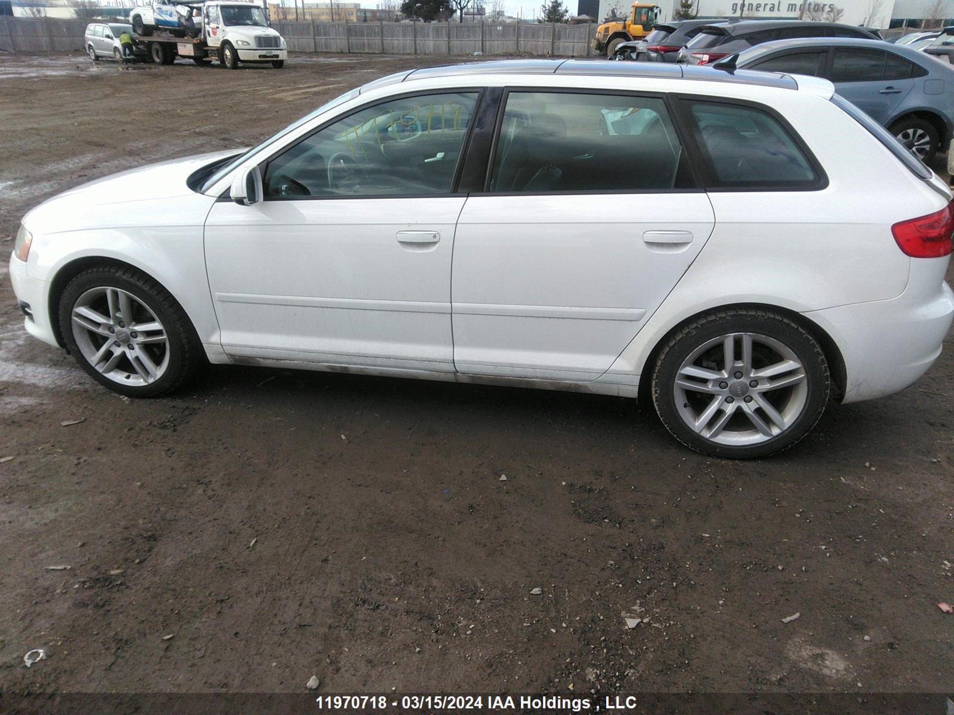 Photo 13 VIN: WAUAFCFM4BA066852 - AUDI A3 