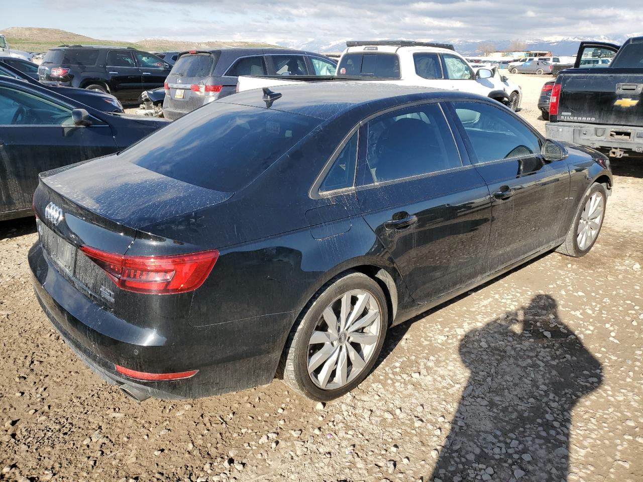 Photo 2 VIN: WAUANAF40HN014692 - AUDI A4 