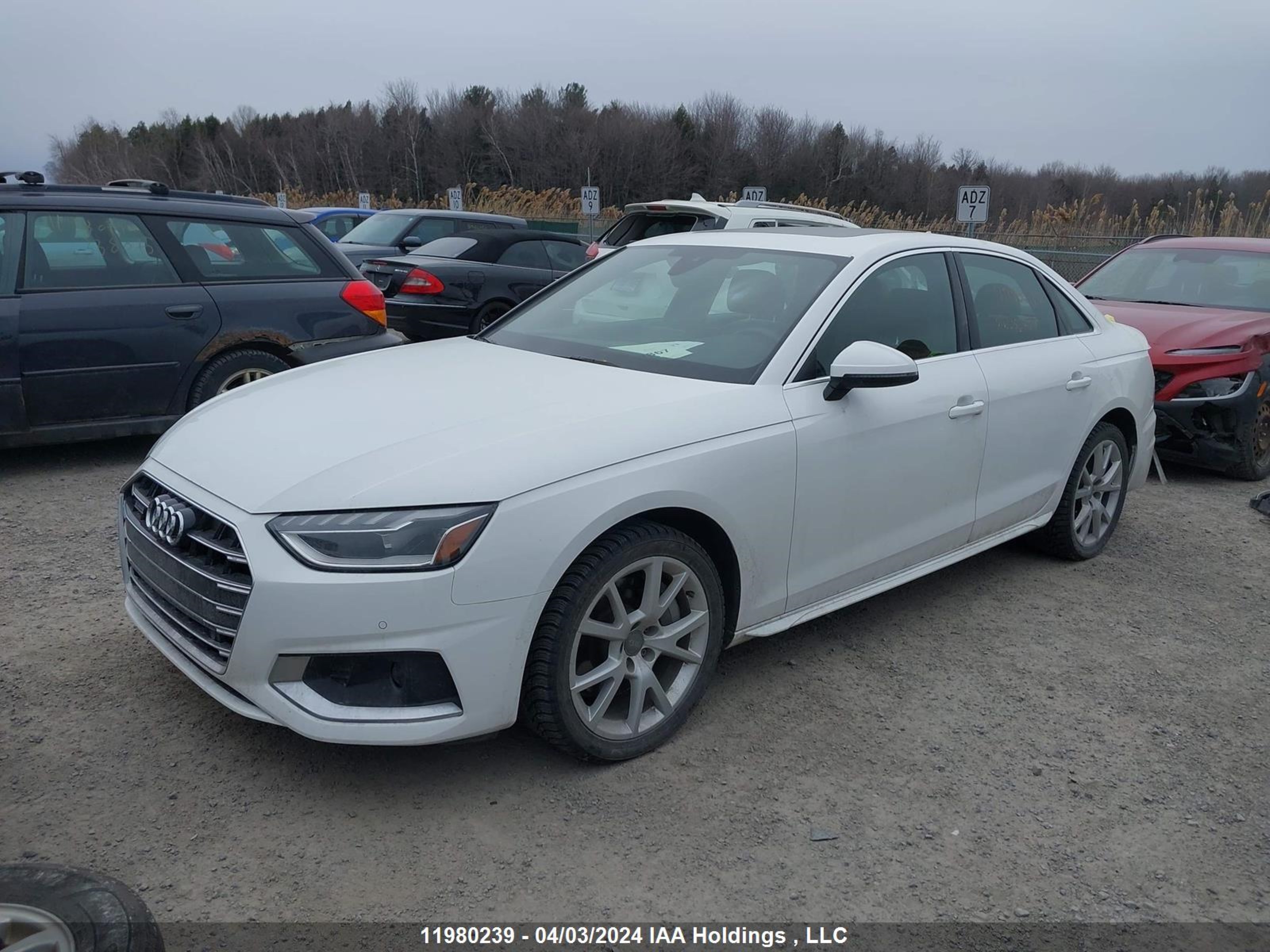 Photo 1 VIN: WAUANAF45LA056789 - AUDI A4 