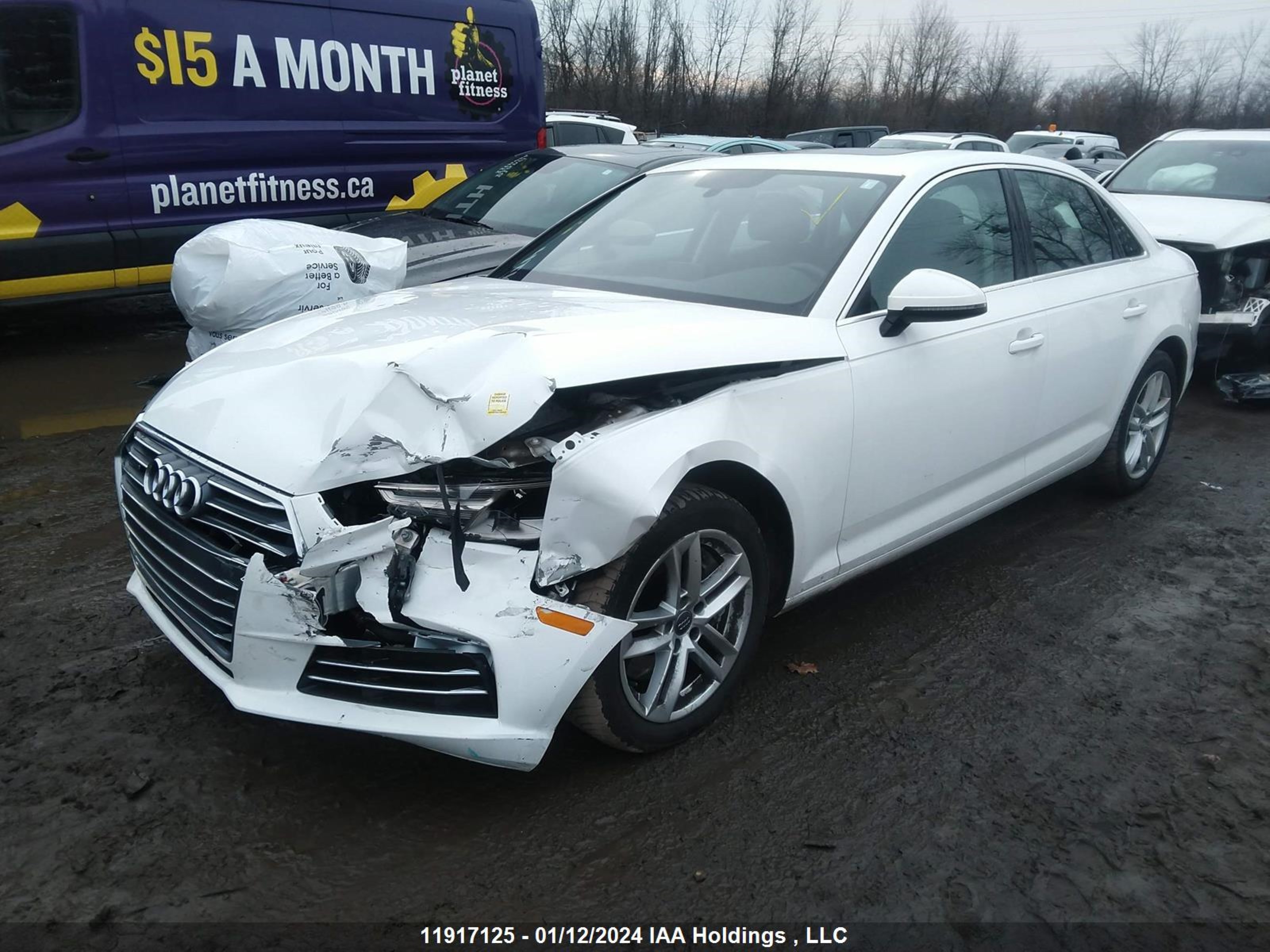 Photo 1 VIN: WAUANAF46HN003647 - AUDI A4 