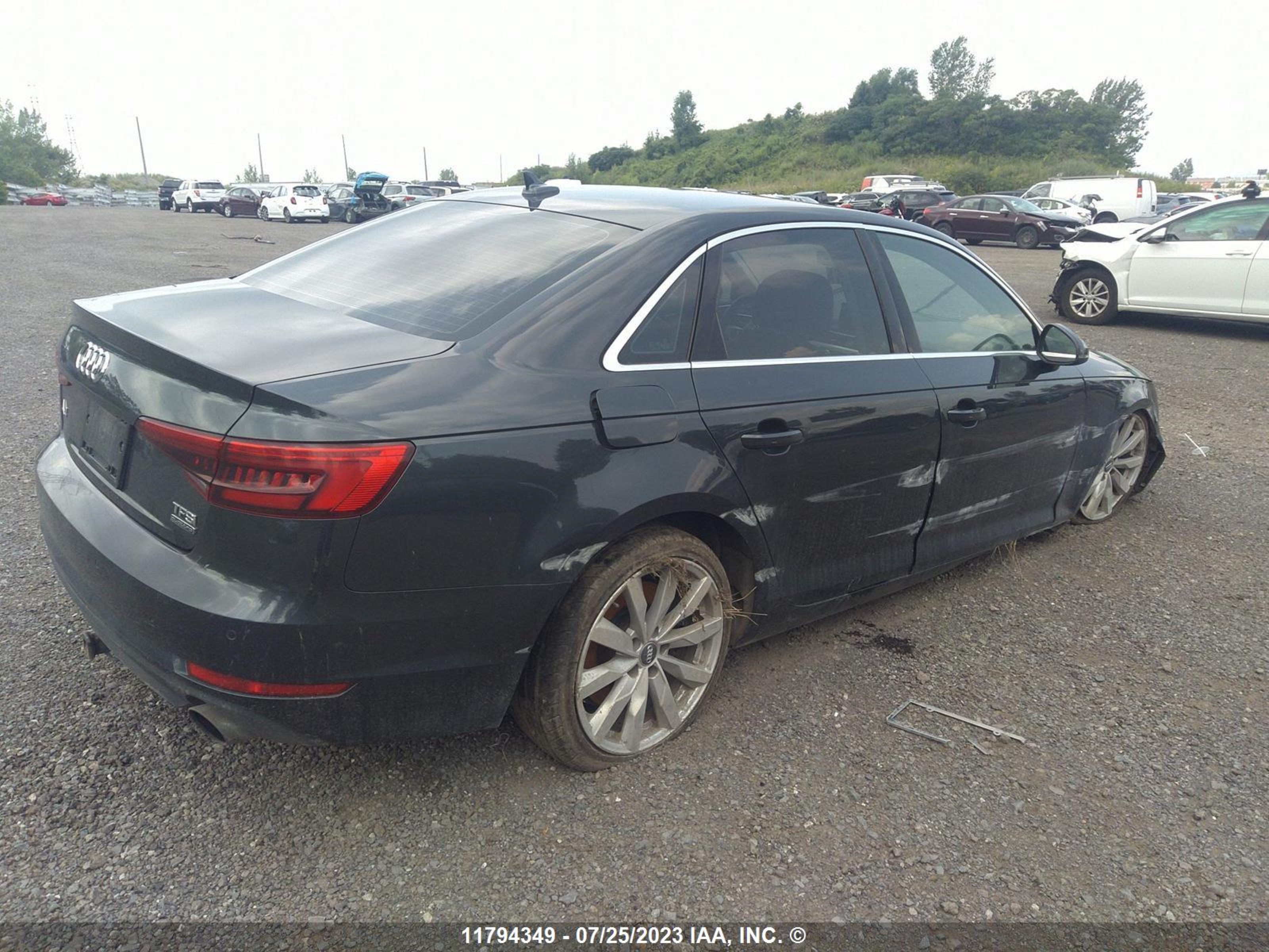 Photo 3 VIN: WAUANAF48HA172964 - AUDI A4 